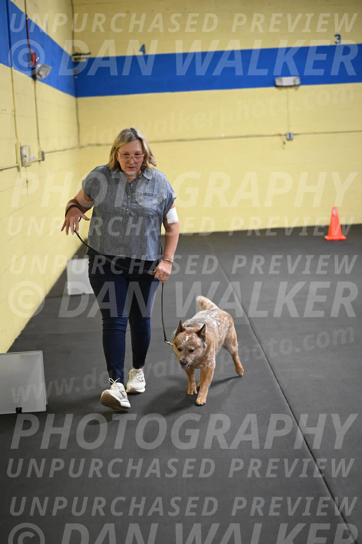 SAT102_0094