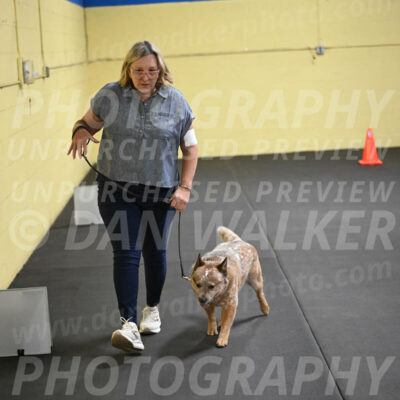 SAT102_0094