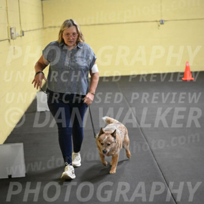 SAT102_0095