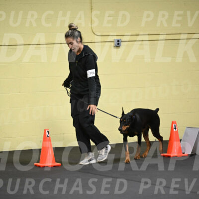 SAT104_0013