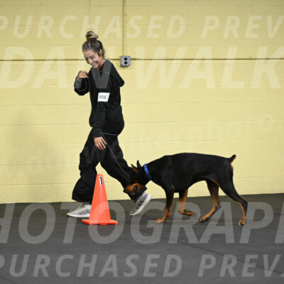SAT104_0031