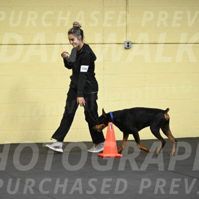 SAT104_0033