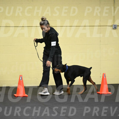 SAT104_0038