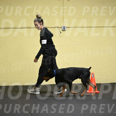 SAT104_0050