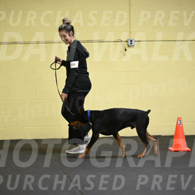 SAT104_0052