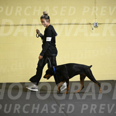 SAT104_0054