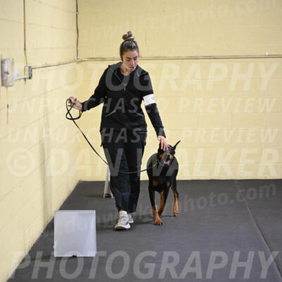 SAT104_0072