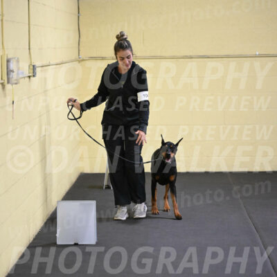 SAT104_0074