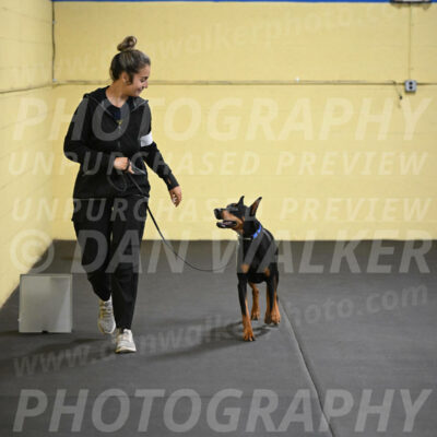 SAT104_0080