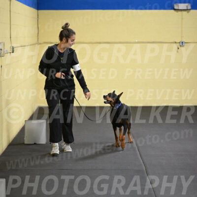 SAT104_0082