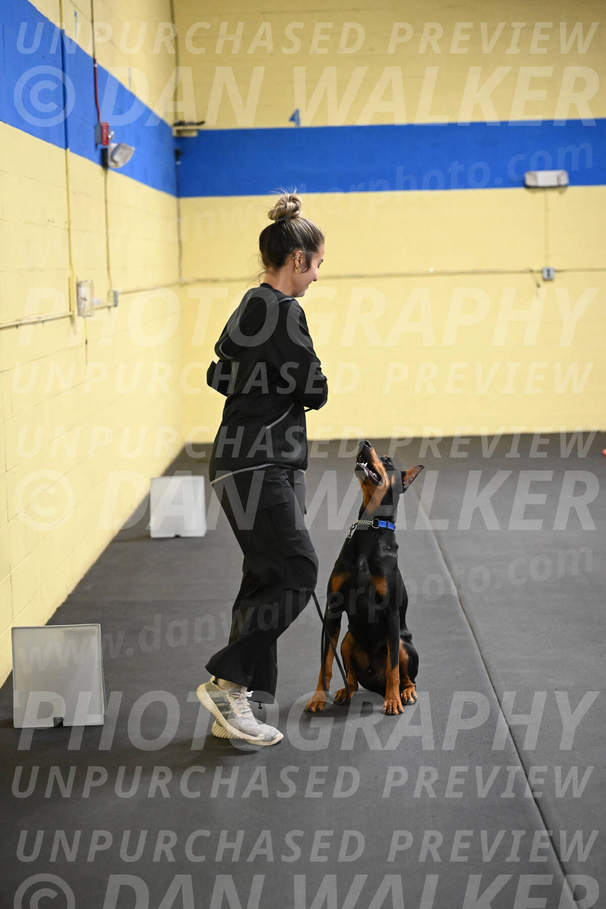 SAT104_0102