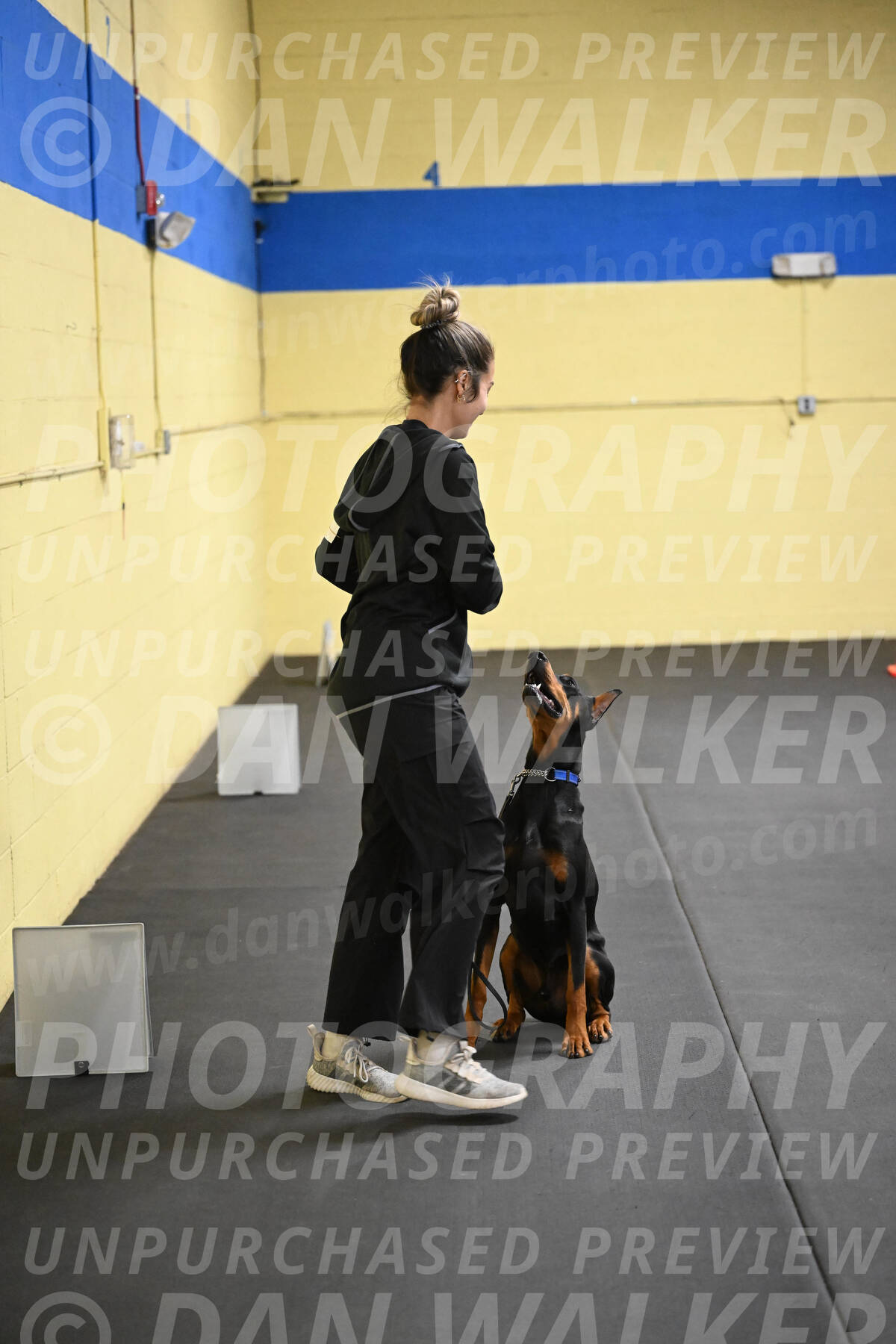 SAT104_0103