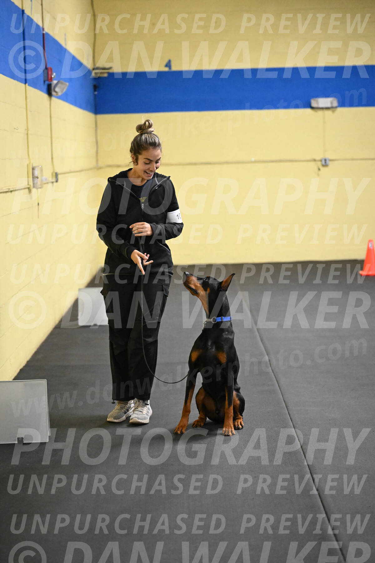SAT104_0113