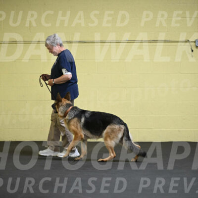 SAT201_0008