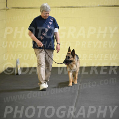 SAT201_0015