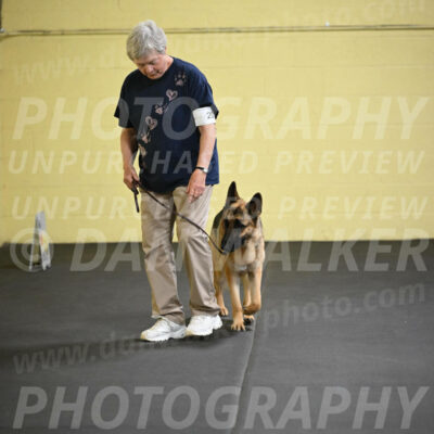 SAT201_0025