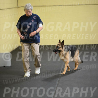 SAT201_0040