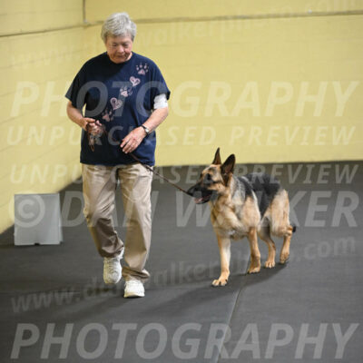 SAT201_0041