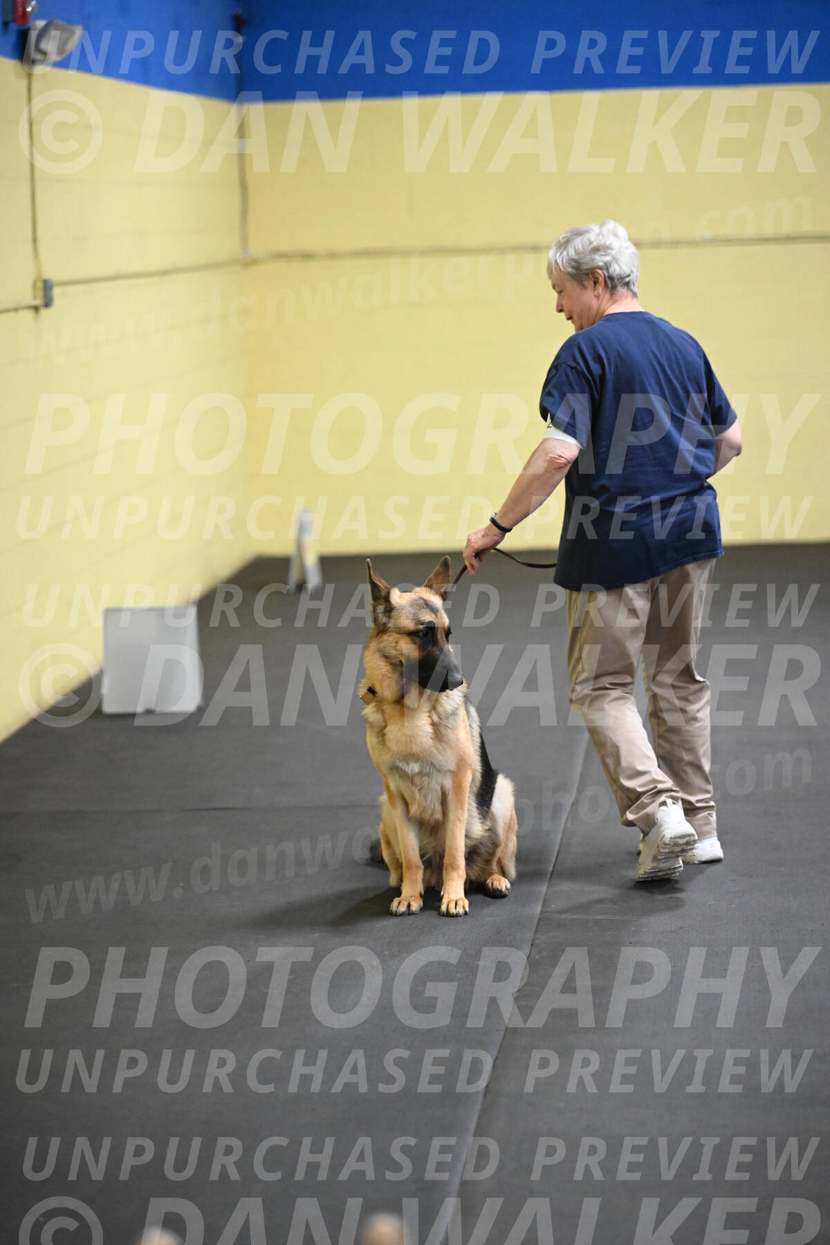 SAT201_0061