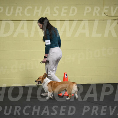 SAT202_0011