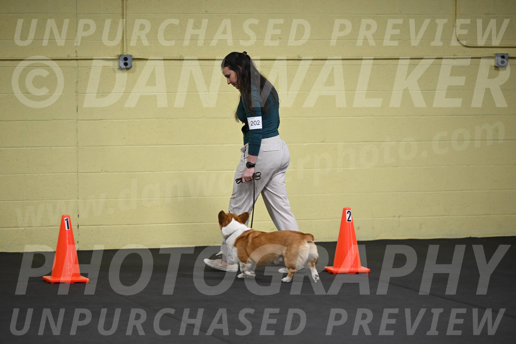 SAT202_0012