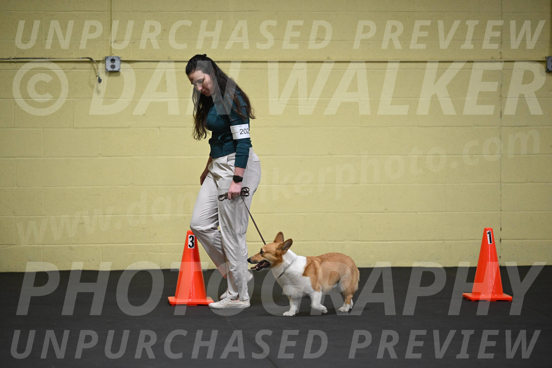 SAT202_0017