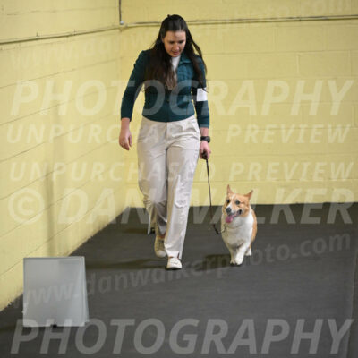 SAT202_0027
