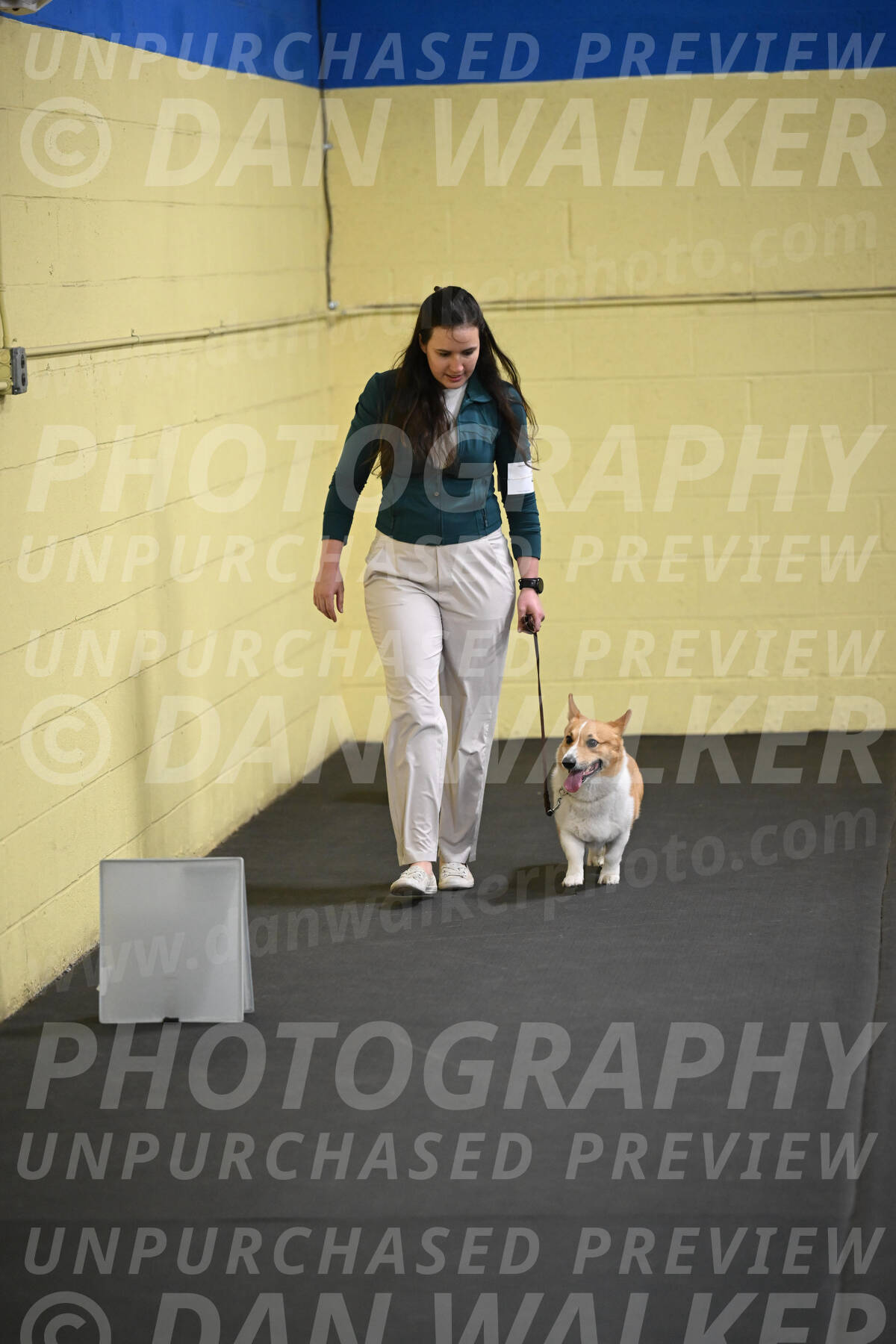 SAT202_0029