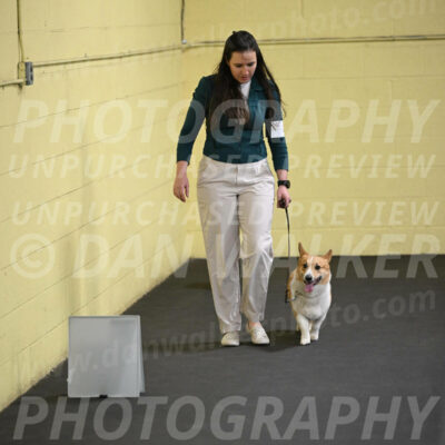 SAT202_0033