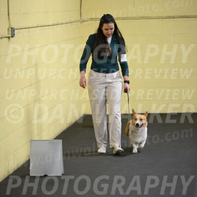 SAT202_0034