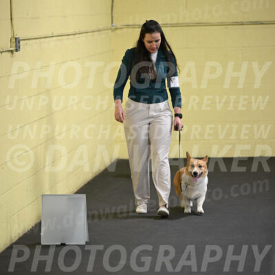 SAT202_0035