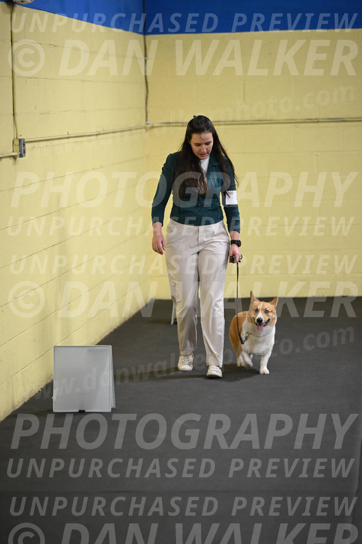 SAT202_0036