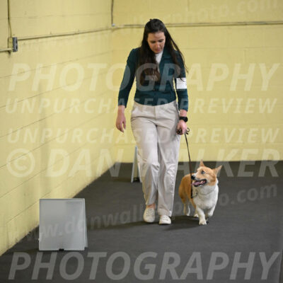 SAT202_0038