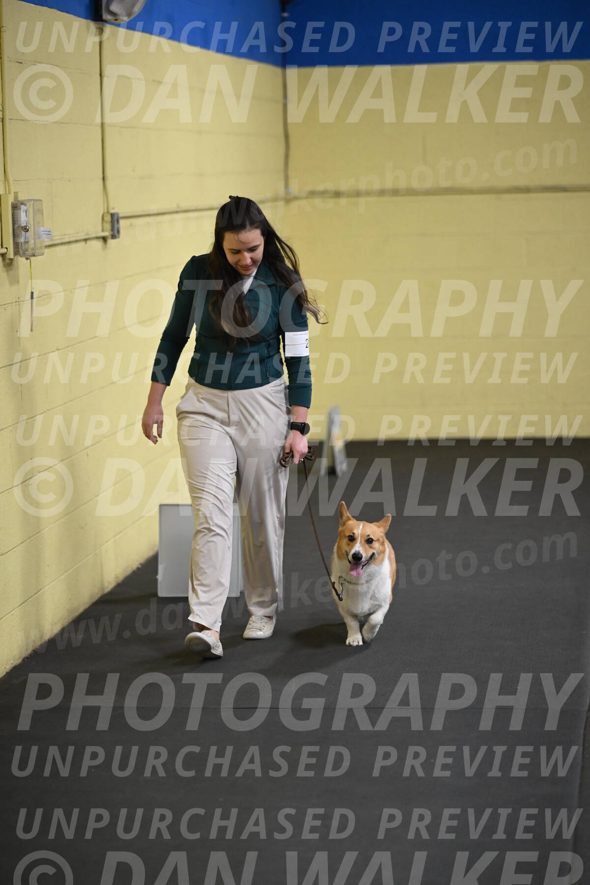 SAT202_0047