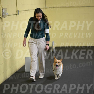 SAT202_0047