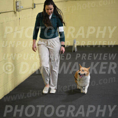 SAT202_0056