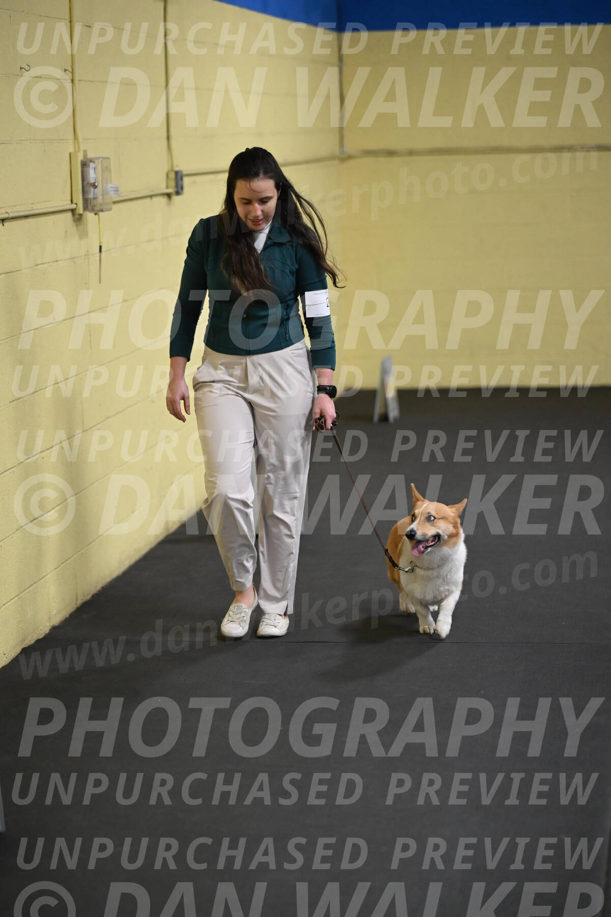 SAT202_0056