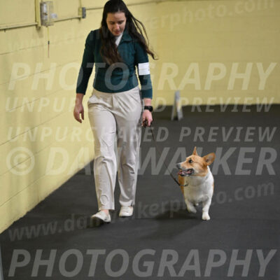 SAT202_0057