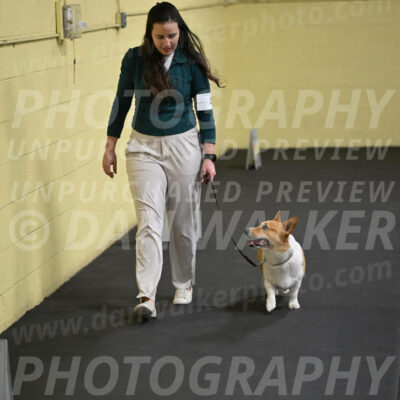 SAT202_0058