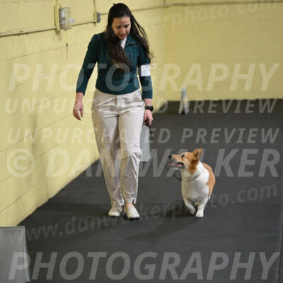 SAT202_0061