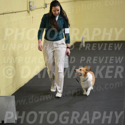 SAT202_0064
