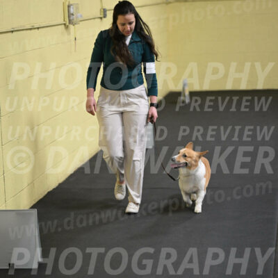SAT202_0065