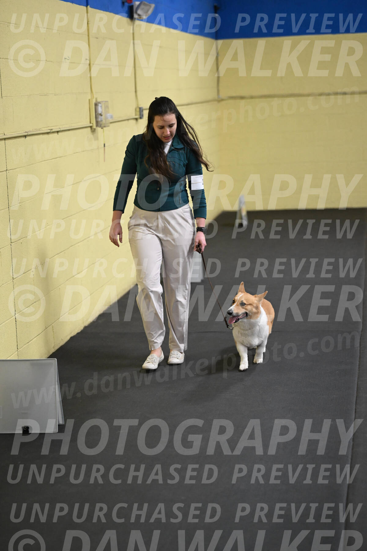 SAT202_0067