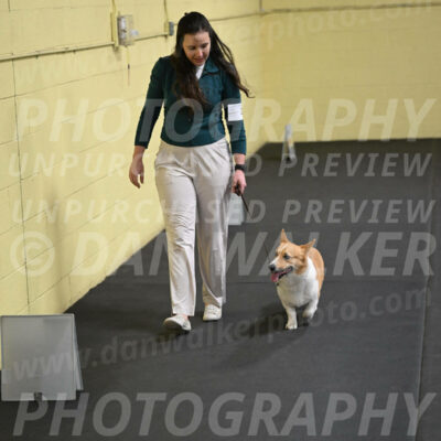 SAT202_0068