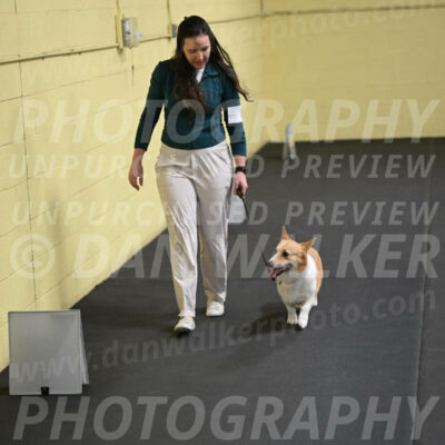 SAT202_0069