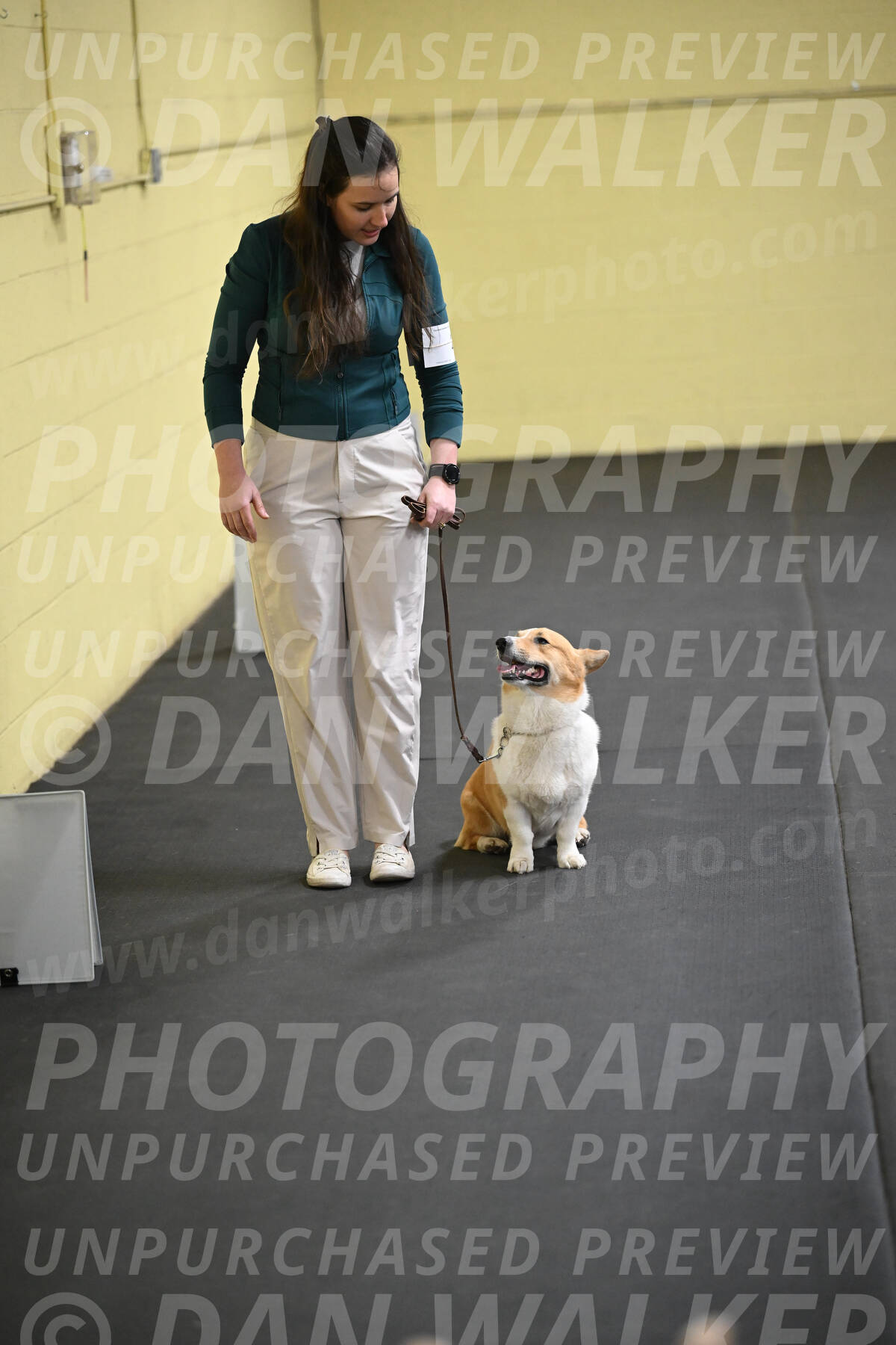 SAT202_0074