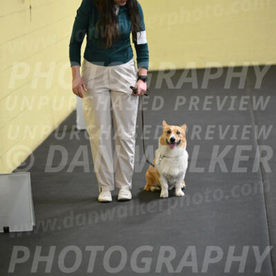 SAT202_0078