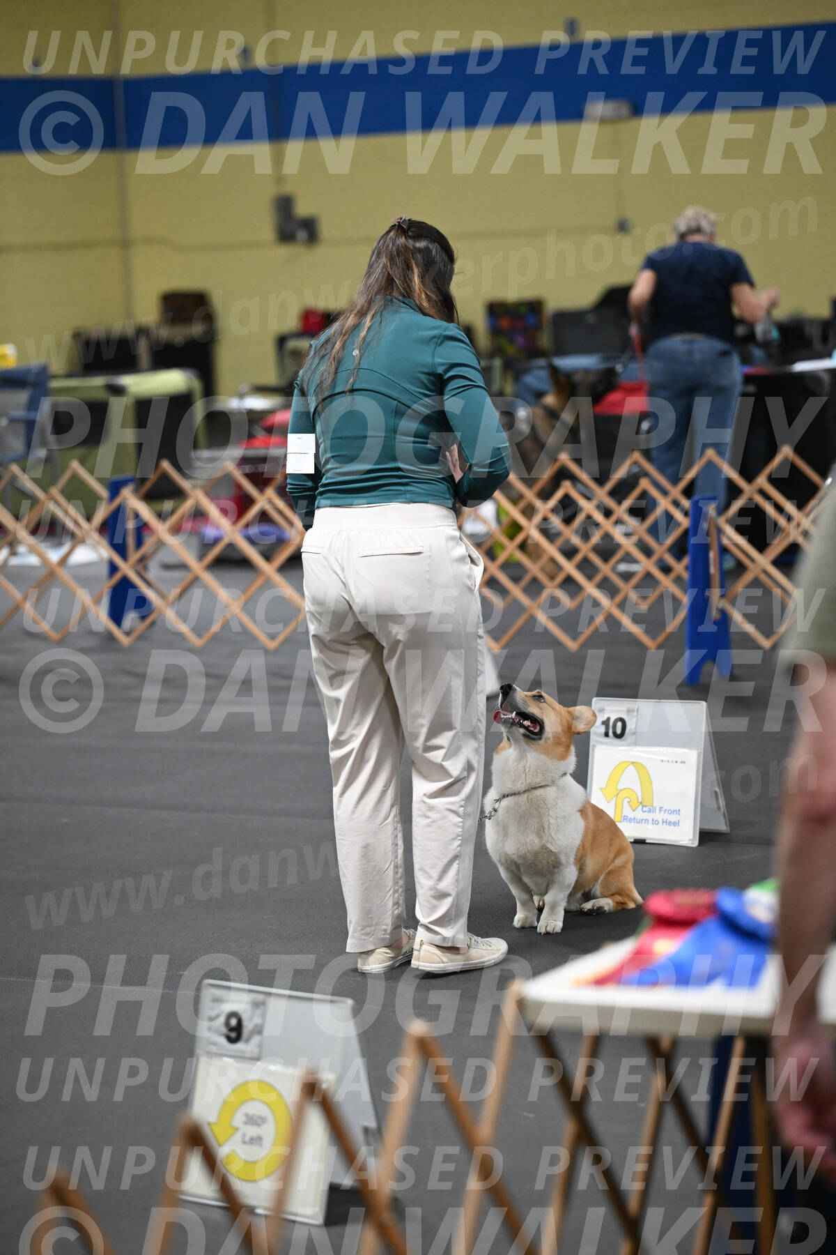 SAT202_0088