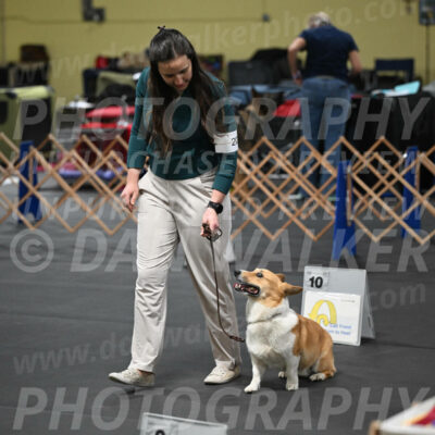SAT202_0091