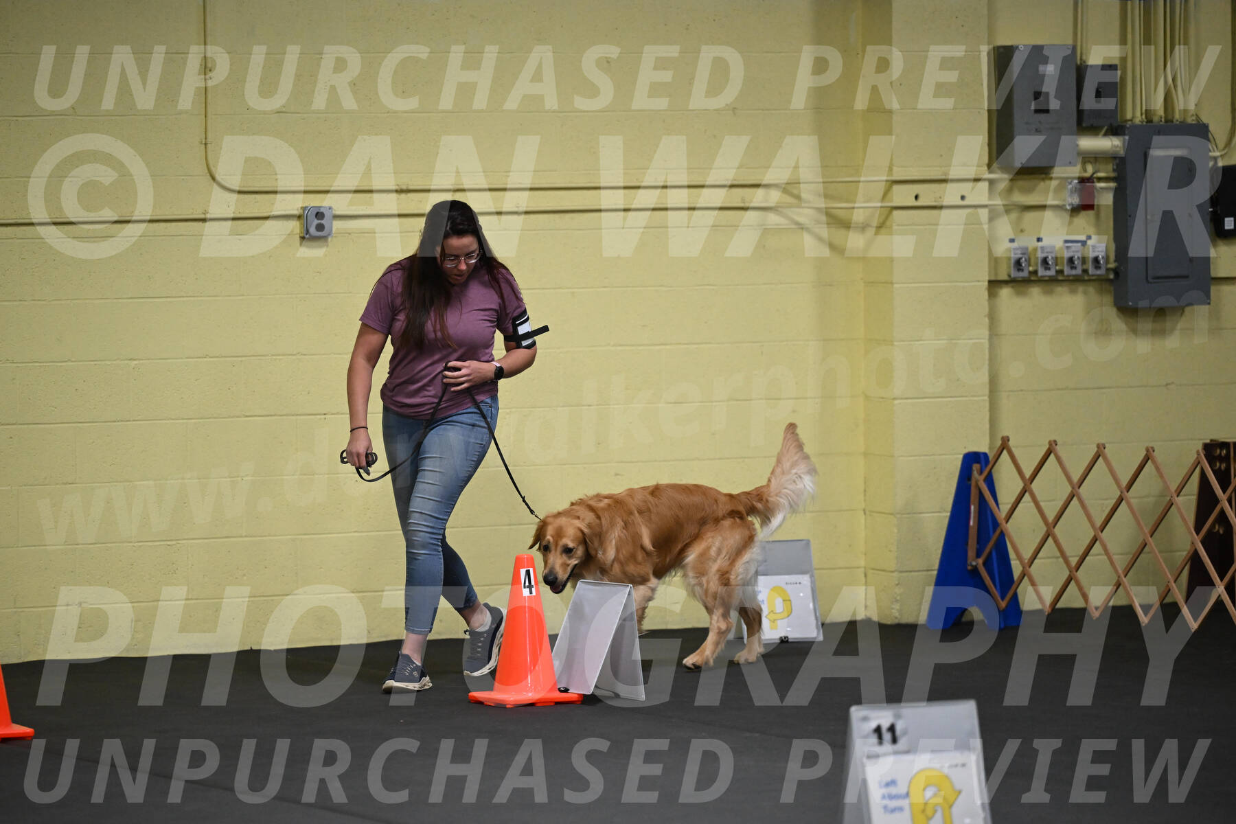 SAT203_0013